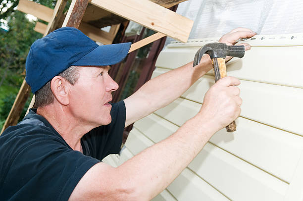 Best Aluminum Siding Installation  in De Soto, MO